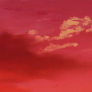 Profile image of 木槌紫織