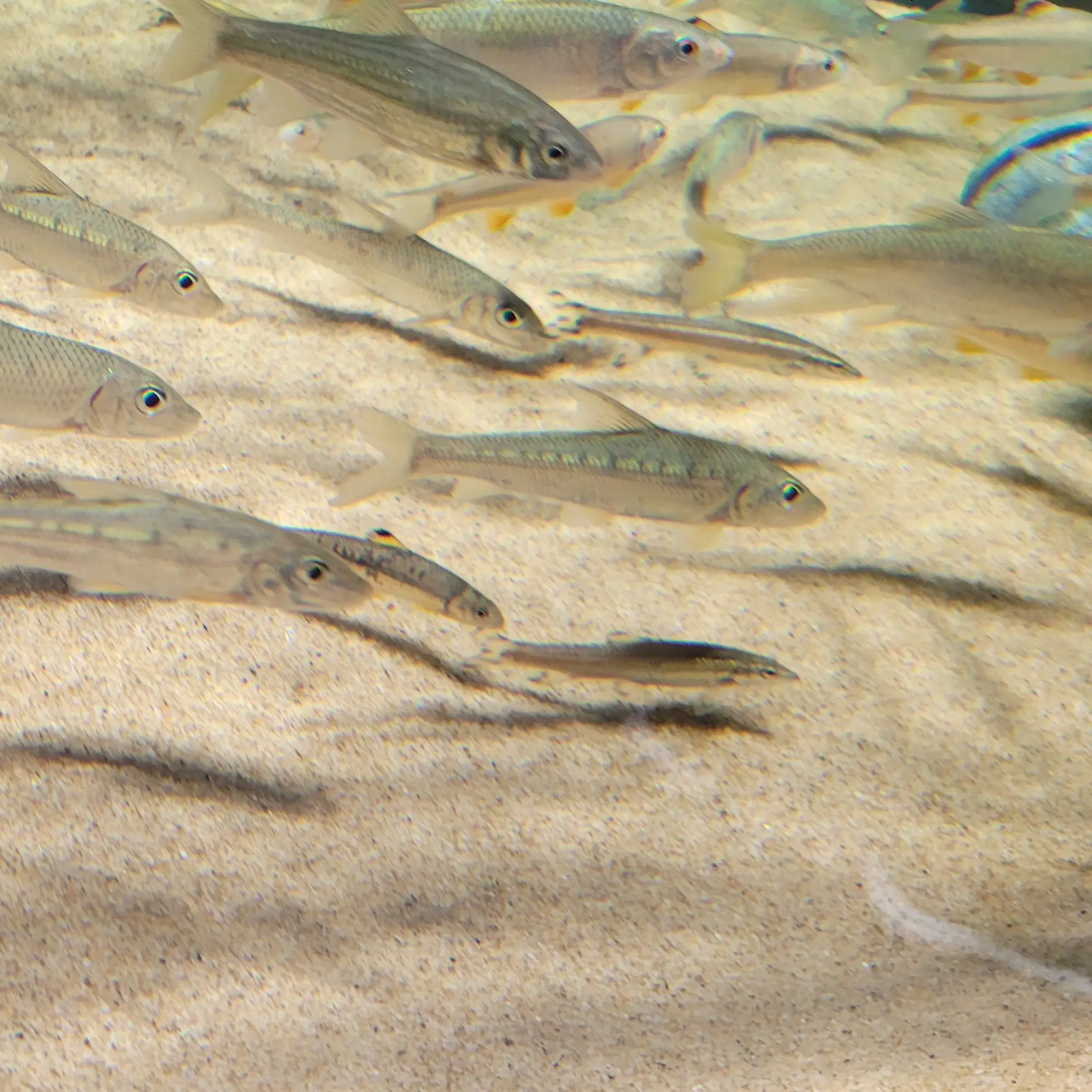 PortlyQuake7981의 세계관 합체 8장. 새로운 호텔,섬