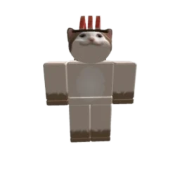 김캣