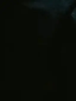 abc9529의 강영현