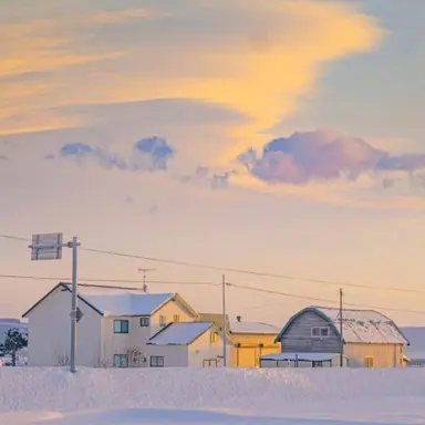 Profile image of 나윤서