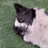 뭉실이(우리집 강아지)