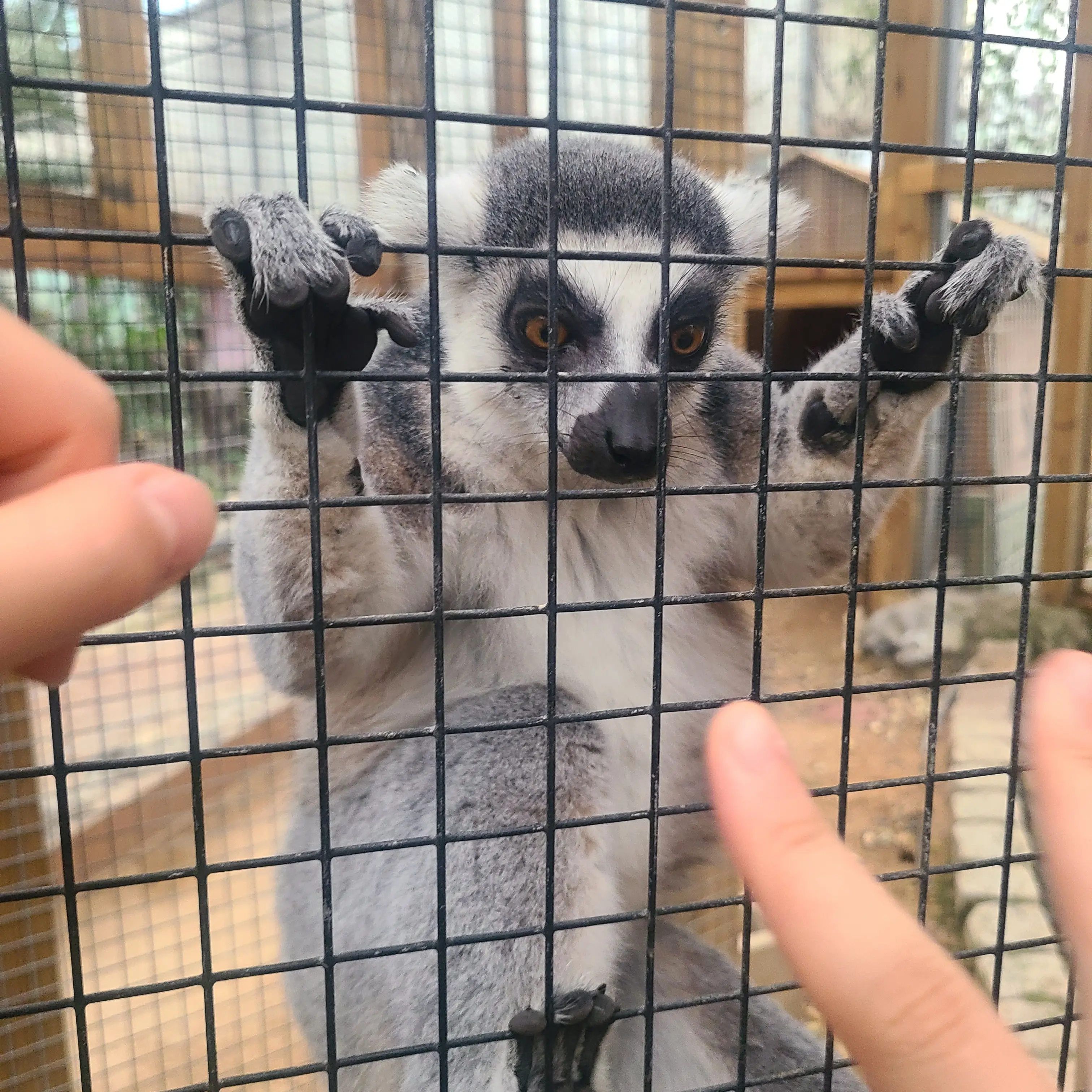 PointyShoe7110의 ㆍ