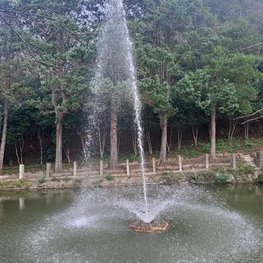 Profile image of 고고프렌즈 X아이브