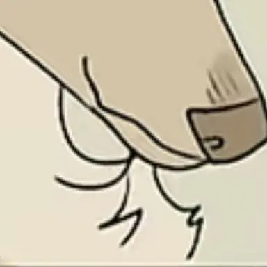 Profile image of トワ