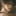 윤은호