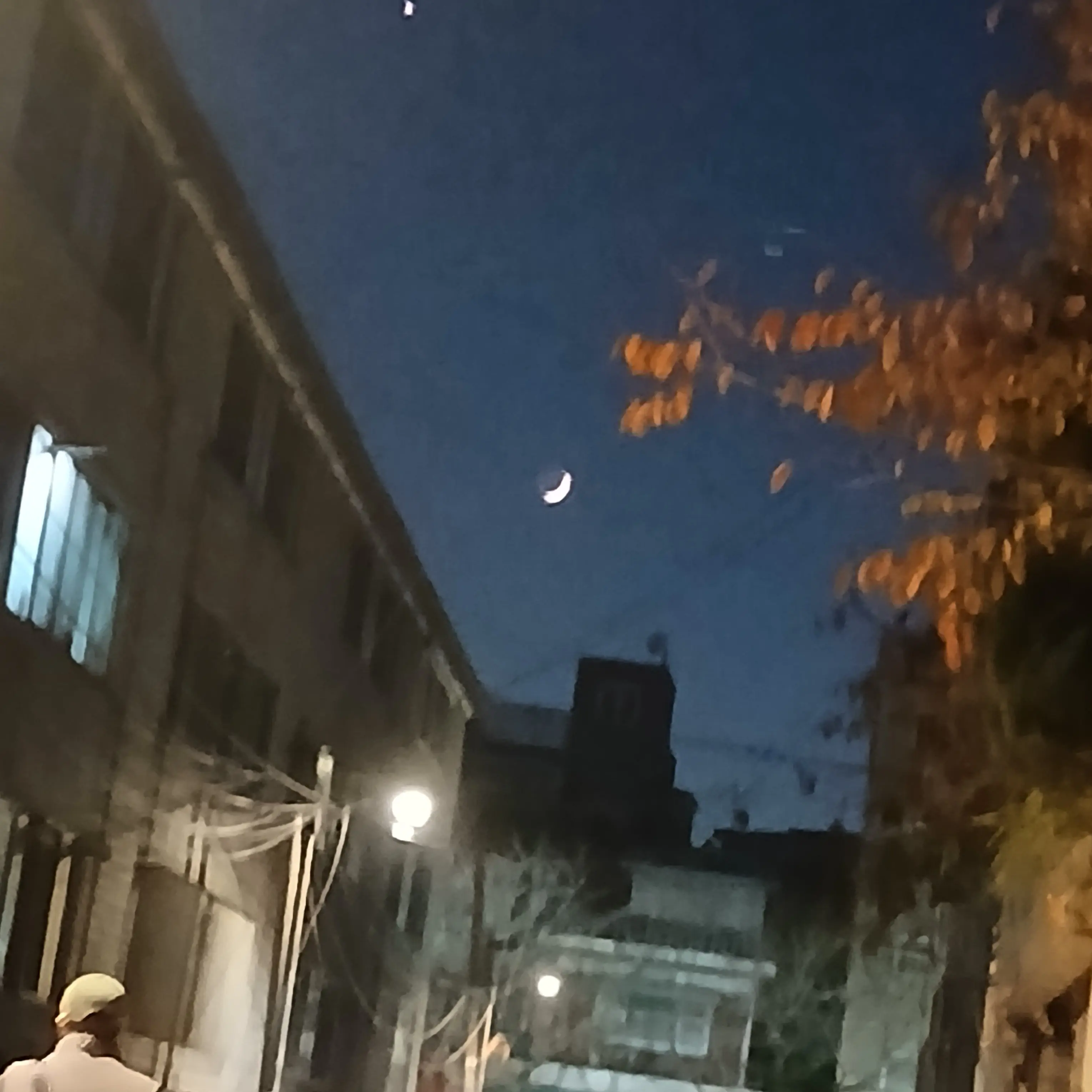 FrankRisk4711의 뜰팁 교도소