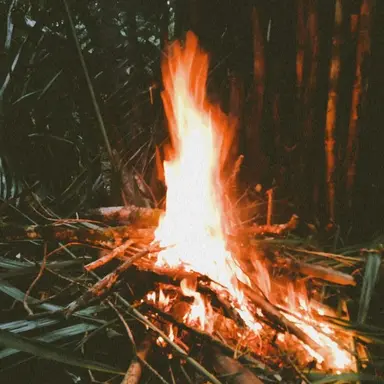 Profile image of Summoning