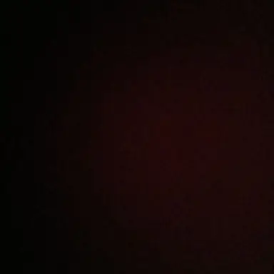 Profile image of 레이