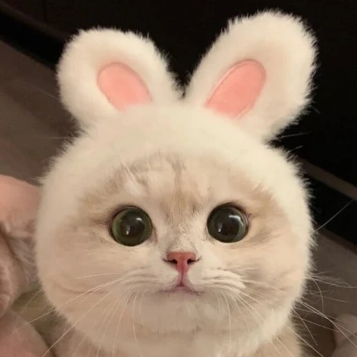하늘