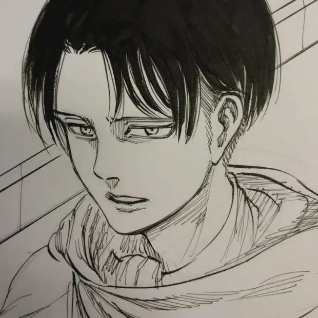 CurvedMall0429의 리바이 아커만