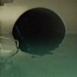 Profile image of マネージャー