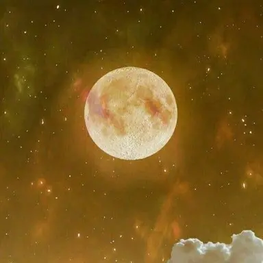 Profile image of 막내즈