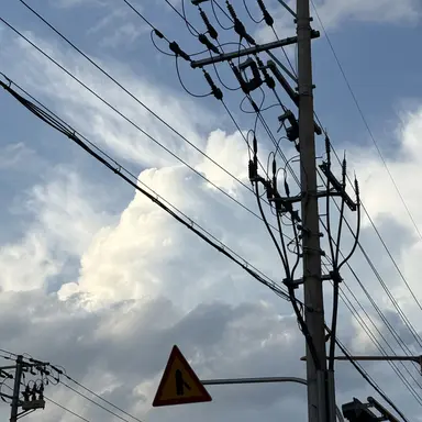 Profile image of 여우