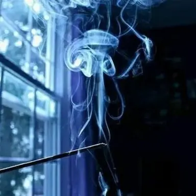 Profile image of 파이브
