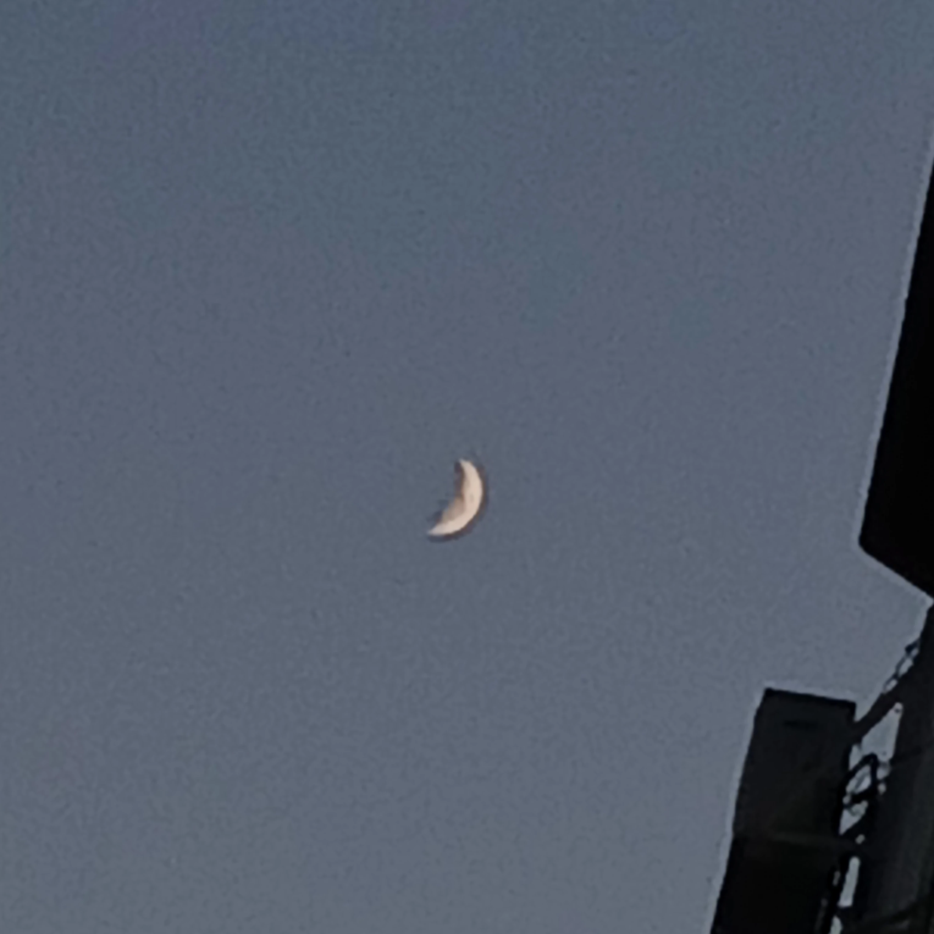 평학