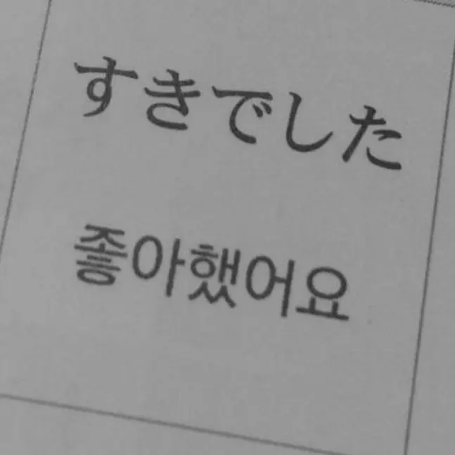 GustyBoas8594의 벽에 끼어버린 유저