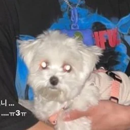 김둉현