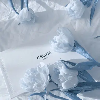 Profile image of 티푸