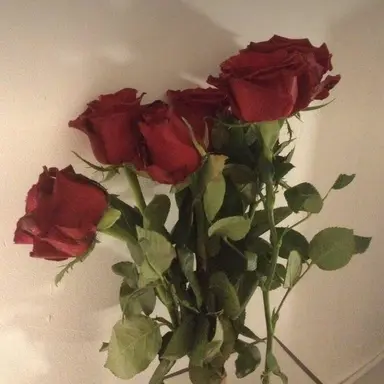 Profile image of 플래그