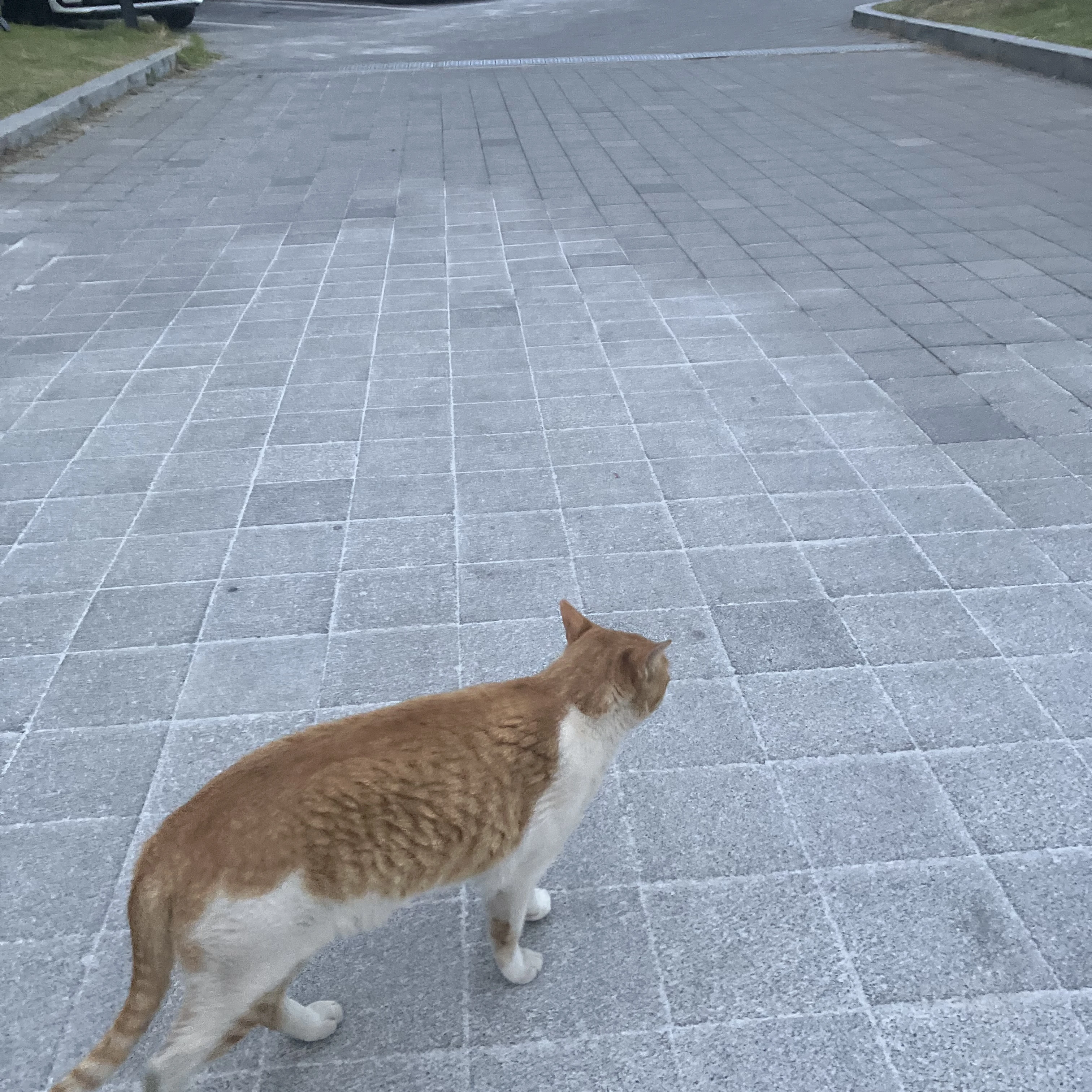 유기