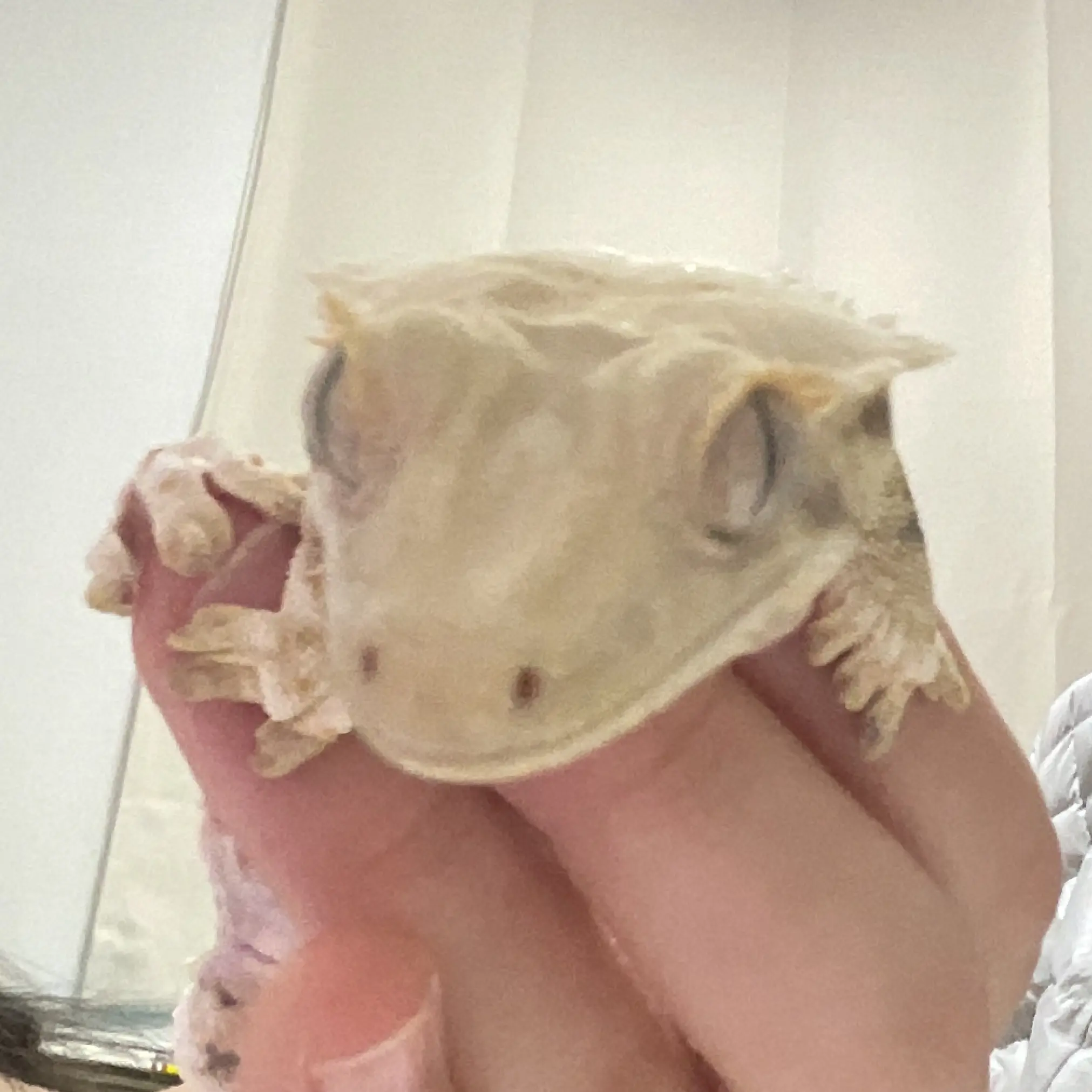 5828gsiwmkwg의 하솔이가 삐졌어요!