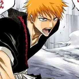 Profile image of 黒崎一護