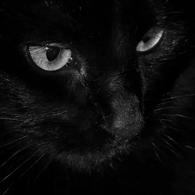 Profile image of 아이자와 쇼타