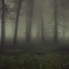 PaltryCodec9635의 Ethan Croft