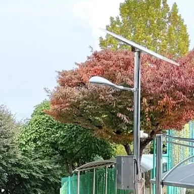 Profile image of 평학