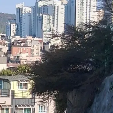 Profile image of 모찌엘