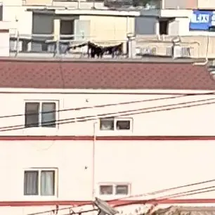 Profile image of 모양몬