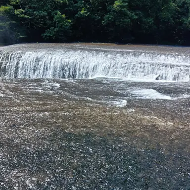 Profile image of 玄武