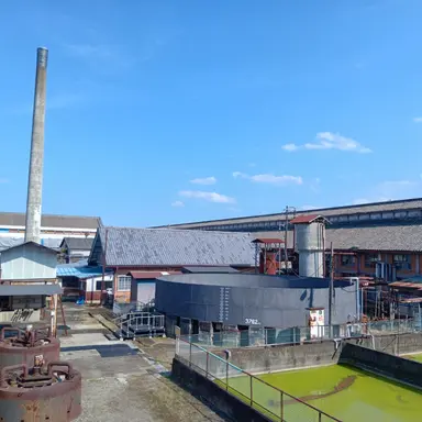 Profile image of 白虎