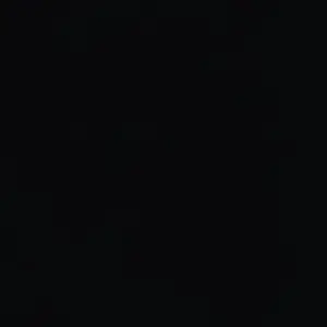 Profile image of 천장미