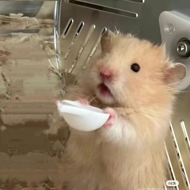 뉴