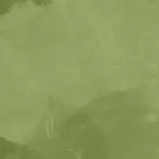 Profile image of 八左ヱ門