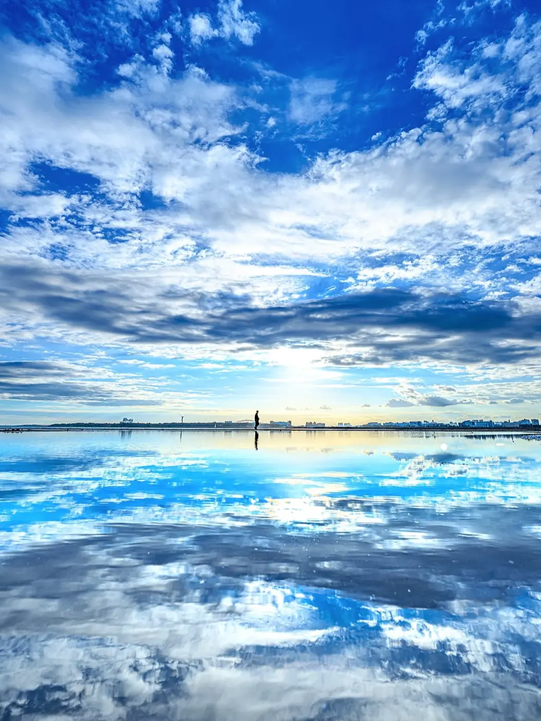 potadesu.의 返り咲く