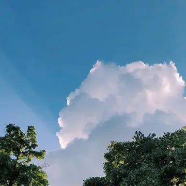 Profile image of 행크