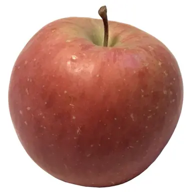 Profile image of りんご