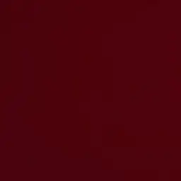 DenseMatch7121의 싸움독학