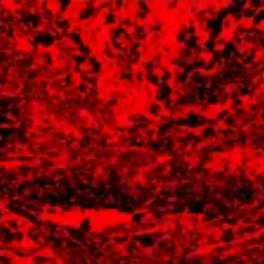 Profile image of 스펙터