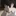 隣の席になった君と私