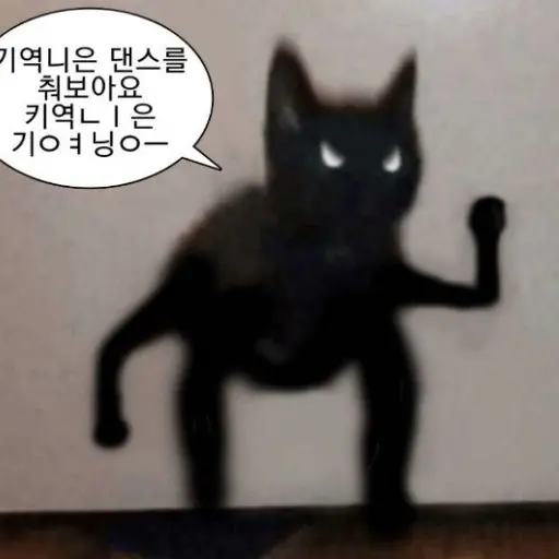CrazyKgg의 ㄴㅇㄱ 고양이