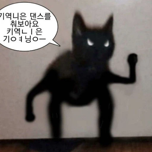 ㄴㅇㄱ 고양이