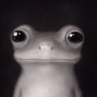 Profile image of カエル