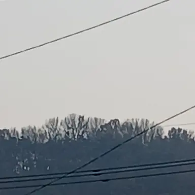 Profile image of 수현