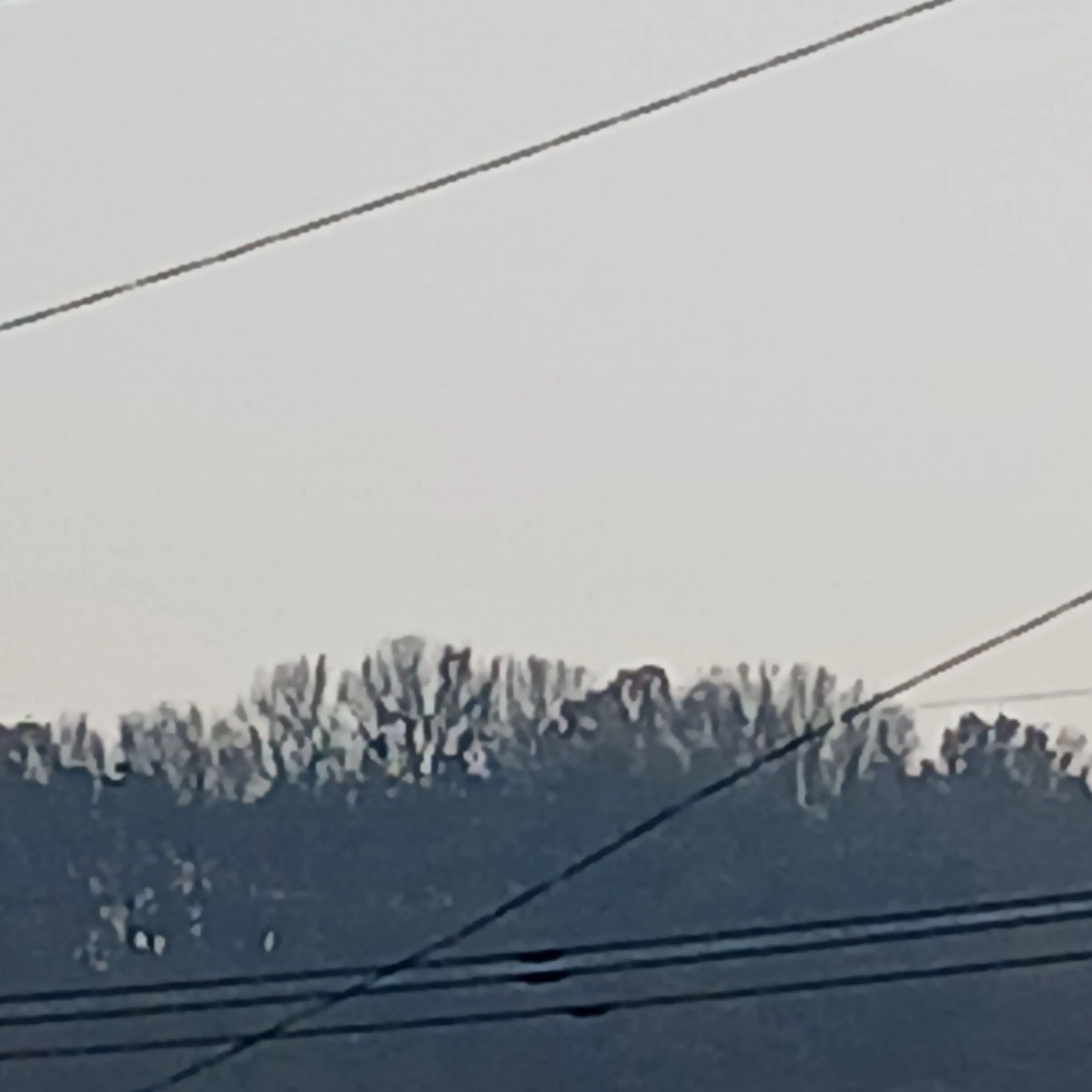 OvalLeg9477의 아픔 수경사