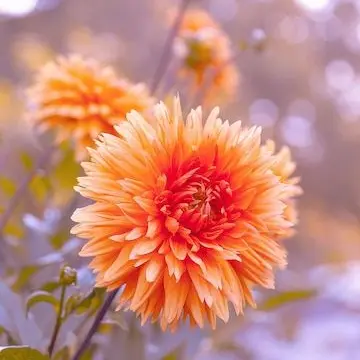 Profile image of 康二