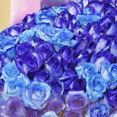 Profile image of 翔太